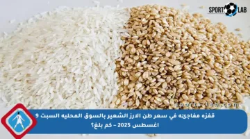 قفزة مفاجئة في سعر طن الأرز الشعير بالسوق المحلية السبت 9 أغسطس 2025 – كم بلغ؟